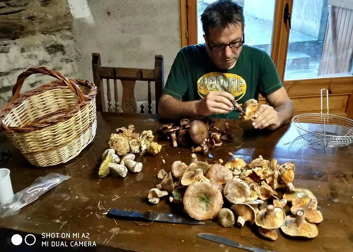 בית נופש Casa Pirineu *