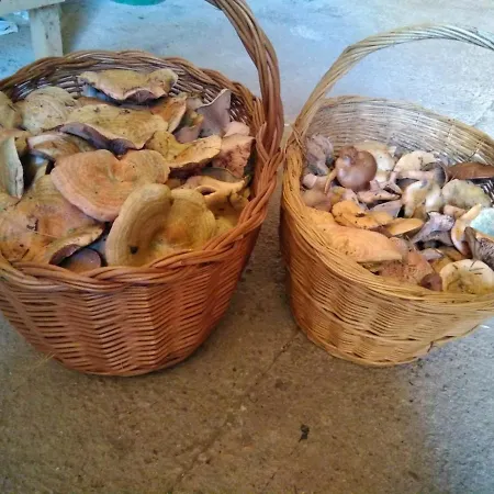 Casa Pirineu * Esterri de Cardos