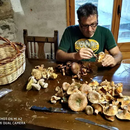 بيت للعطل Casa Pirineu *